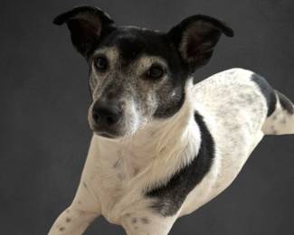 Sweet Pea Approved!!