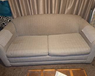 Sleeper Sofa