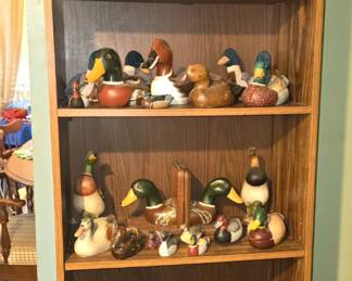 Display - Bookcase cabinet 