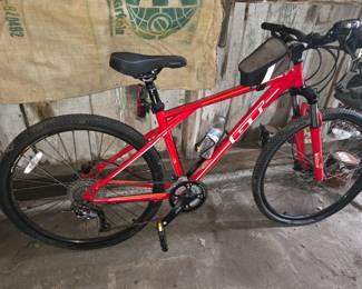 GT Men's Bike
