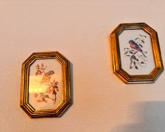 Anatole Marlin framed bird prints 