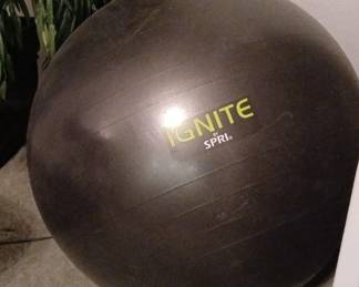 Exercise Ball