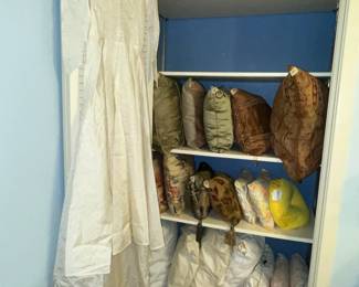 Lots of marvelous pillows!