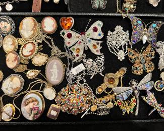 Cameos, Brooches and More!