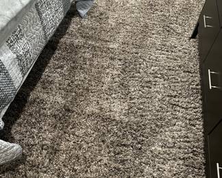 Large rug 