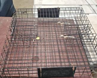ANIMAL TRAP