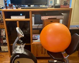 Life Gear incumbent bike