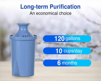2 Pack Longlast Water Filters