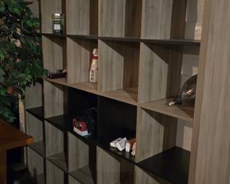 Huge IKEA bookcases- $20!