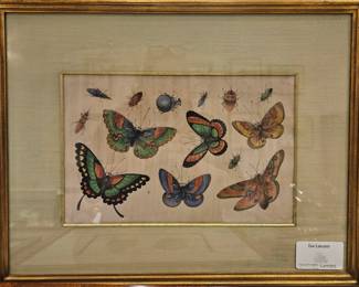 Butterfly framed antiquarian plate