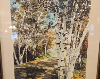 "Checkerings" ORIGINAL hand colored and signed, edwardian artist