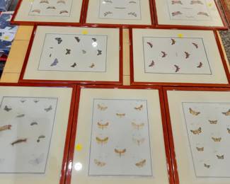 Beautiful butterfly antiquarian bookplates in groupings, framed