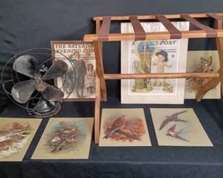 Hunter Fan, Luggage Holder, Bird Prints