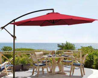 example of the kind of umbrella under that cover by the pool