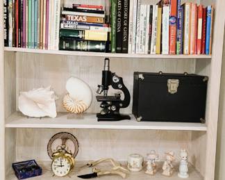 Books, shells, microscope