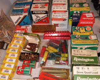 Lots of Shotgun Shells and 22 Rifle Ammo