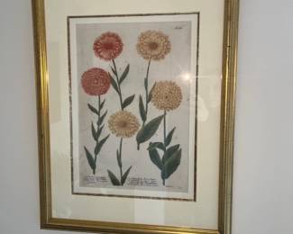 Chrysanthemum Wall Art 