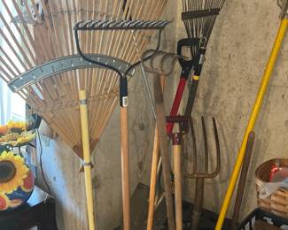 Outdoor Rakes 