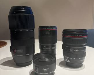 Assorted Canon Digital EF Lens (100mm Macro Lens, 24-105mm, 50mm, and more)