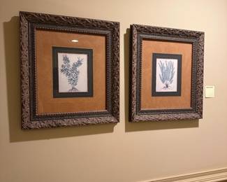 R49 - $20 Each Botanical Prints. Measures 19.5" x 21.5".