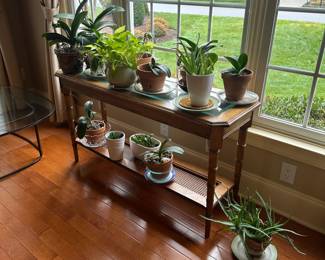 Plants are priced individually.