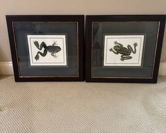 R56 - $35 PAIR of Frog Prints. Each measures 21" x 21.75".