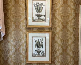 R6 - $50 PAIR of framed botanical prints from New Century. Each measures 22.5" x 28.5".