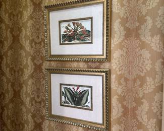 R7 - $40 PAIR of Botanical Prints from New Century. Each measures 21.5" x 18".