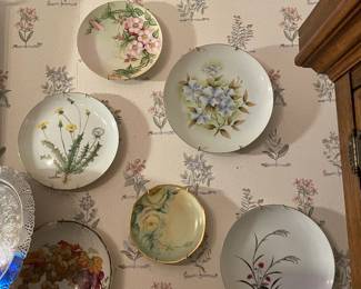 CHINA PLATES