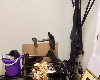 Bow Flex Home gym.. I pick it up, I put it down....