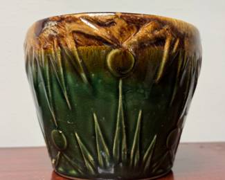 Grow a plant with the real McCoy!