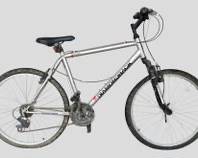 DIAMOND BACK Mountain Bike Outlook Trail XC
