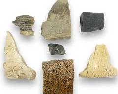 Assorted Sedimentary, Igneous, and Metamorphic
