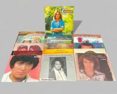 Lot of 16 Vintage Rock, Country and Pop Vinyl Record LPs Including Neil Diamond, The Beach Boys, Simon Garfunkel, Lee Greenwood
