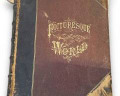 The Picturesque World, Or, Scenes In Many Lands, Volume I (Hardback, 1881)

