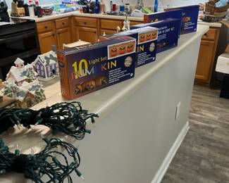 Halloween and Christmas lights 