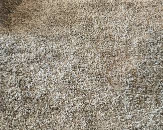 Gray shag carpet, like new