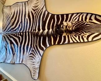 Taxidermy including lined and backed zebra rug. 