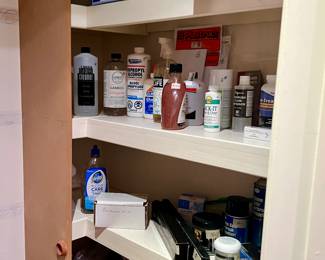 Closet full of paints, glues, etc.