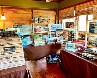 More models in the sunroom. 