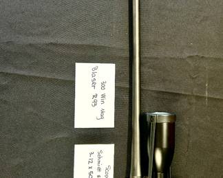 Schmidt & Bender Scope 3.12x50 Zenith                          300 Winchester Mag Blaser R93