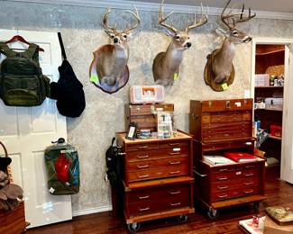 High-end Gerstner tool chests, taxidermy, camping, hunting, fishing. 