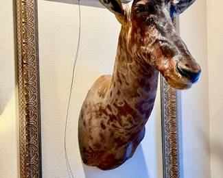 Tsessebe Head Shoulder Mount