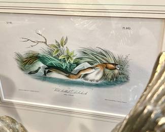 AUDUBON PLATE.