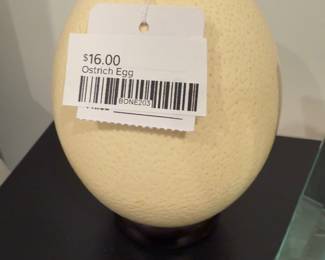 Ostrich Egg