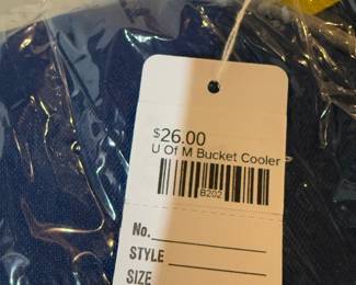 U of M Bucket Cooler