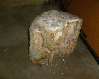 smaller (but still large) petrified wood