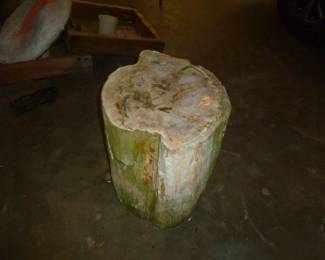 Awesome huge Petrified Wood