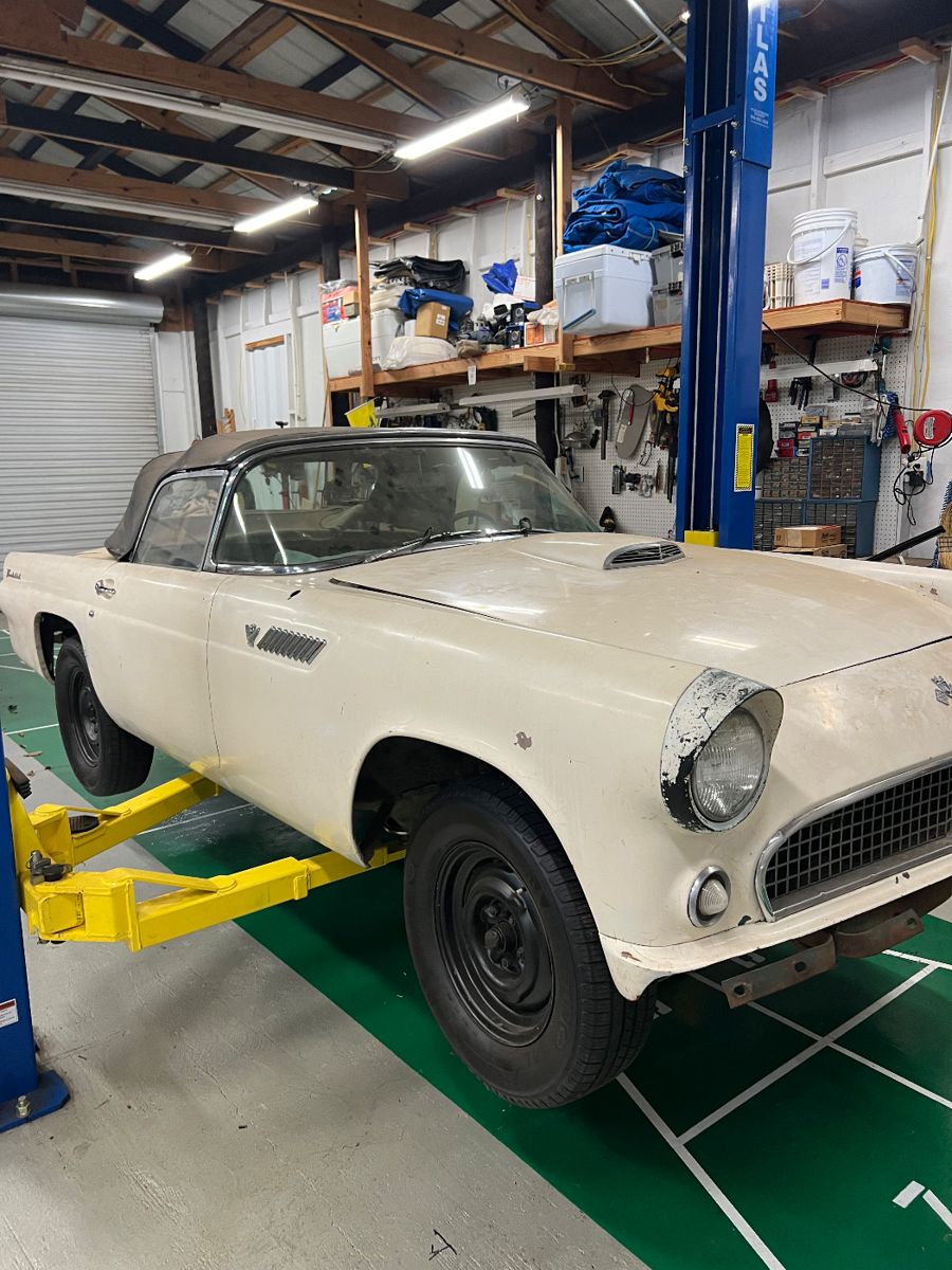 1955 Ford Thunderbird