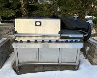 VIELUXE OUTDOOR GRILL & COVER 